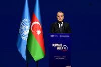 Azerbaijan supports Türkiye ahead of its hosting COP31: FM