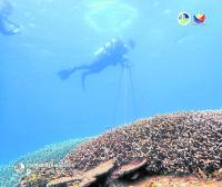 Zambales expands MPA network with 2 new sanctuaries