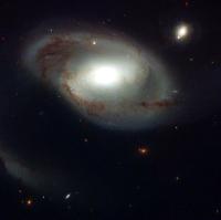 Two Massive Stars Were Gravitationally Captured, Not Born Together, ALMA Reveals