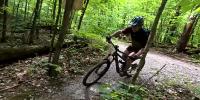 The Hinesburg Town Forest offers trails, timber, and a happy place for residents