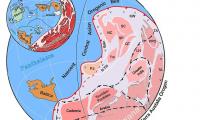 Long-lost supercontinent is pieced together after 550 million years: Incredible map reveals how Gondwana represented 80% of Earth's landmass