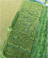 Indiana Farm Designs Maze  Commemorating the Legacy of Charlie Kirk