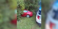 Louisiana woman facing multiple charges after high-speed chase ends in Marion County, sheriff says