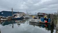 Maine officials monitoring Casco Bay algae bloom