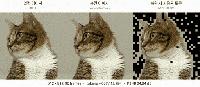 Kakao Unveils KATok, a Technology That Cuts AI Video Generation Costs