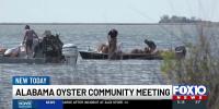 Alabama oyster season outlook draws industry concerns