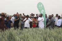 TAAT, Partners Move to Accelerate Nigeria’s Agricultural Transformation Through Extension Training