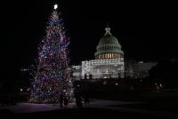 Young Idahoans Asked To Help Light The Capitol Christmas Tree