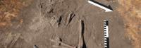 Another Unusual Burial Found at Ancient Polish Cemetery