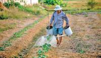 Global survey of 10,234 farmers across 158 countries finds widespread income pressure, pricing dissatisfaction and climate-driven production losses