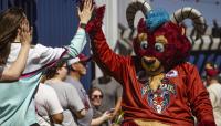 How does ECHL roster construction differ from Triple-A baseball?