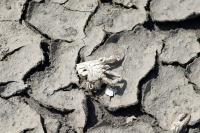 August 2026 was the hottest month ever recorded globally