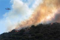 Getty Center Closes After Fire Breaks Out Along Los Angeles’s 405 Freeway