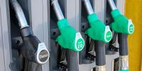 Record diesel costs ripple through Kentucky’s livestock industry