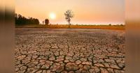 El Nino puts India on high health-risk radar, says WHO