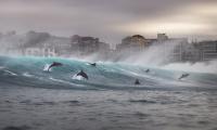Revealed: The Ocean Photographer of the Year winners