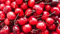 South African Cherries Secure China Market Access, Blueberries Expected To Follow