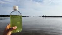 RPI Researcher Finds Estuary Water Quality Trends Have $100M Implications
