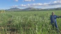 Land use plan needed for agriculture