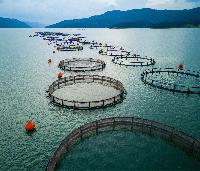 Can European Aquaculture Become Climate-Neutral?