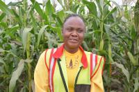 LUANAR project aims to boost Malawi’s maize seed supply