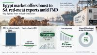 Egypt red-meat deal offers South African farmers a new export opportunity