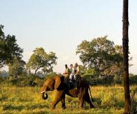 Zimbabwe tourist arrivals surge to 6.4 million in first half of 2026