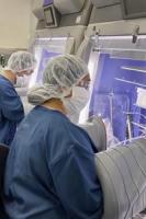 VVMF, Australia's First Viral Vector CDMO Receives TGA Manufacturing Licence