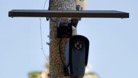 Tallahassee reverses course, suspends Flock cameras