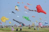 International Kite Festival Brings Art to Skies Over Lake Balaton