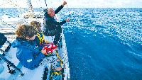 What it’s like sailing for a greater good as a citizen scientist