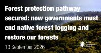 Forest protection pathway secured: now governments must end native forest logging and restore our forests