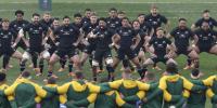South Africa vs New Zealand is rugby's 'money game'. Why is it being played in the U.S?