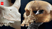 Spanish caves reveal repeated cannibalism, from violence to skull cups