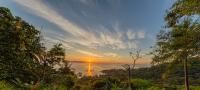 Restoring Costa Rica’s mangrove forests as an act of love
