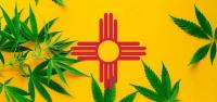 New Mexico Cannabis Seed-to-Sale Transition Interrupts Industry Operations