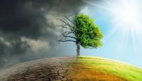 Climate hope: Inspiring stories from across Nigeria