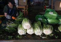 Taiwan Probes Risk of Chinese ‘Origin-Washed’ Cabbage Entering Via Vietnam