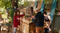 Five Cape Town markets to visit when you’re ready for something different