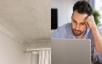 Real Estate Website Adds ‘Not Completely Riddled With Mould’ Search Filter For Aspiring Renters