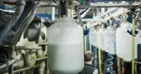 Dairy’s biggest exodus in a decade looms as 60 farms price trapped