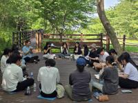 Forest therapy reduces suicide risk and depression, study finds