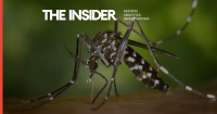 Killer mosquitoes: As the climate changes, African diseases are spreading to Europe