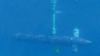 British forces foil Russian cable sabotage plot after ‘catching submarines training in Arctic to unleash secret weapon’