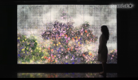 teamLab is bringing its first solo exhibition to Singapore this September