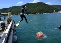 Women quit South Korea's grind for diving tradition