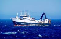 American Seafoods thriving, despite challenging Alaska pollock season