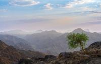 Is Najran Airport (EAM) Open? Live Status, Terminals & Airlines (2026)