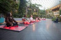 HIA offers travelers complimentary wellness sessions at The Orchard