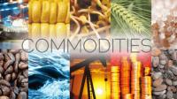 Agri Commodity Position Limits Revised, SEBI Caps Penalty at ₹2 Lakh for Larger Breaches